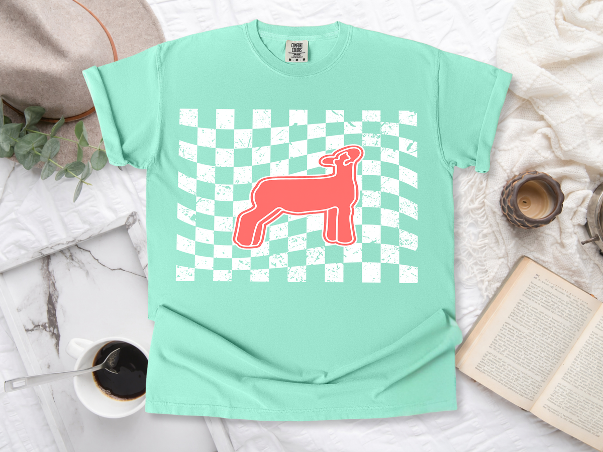 Lamb saltwaterandsaddles